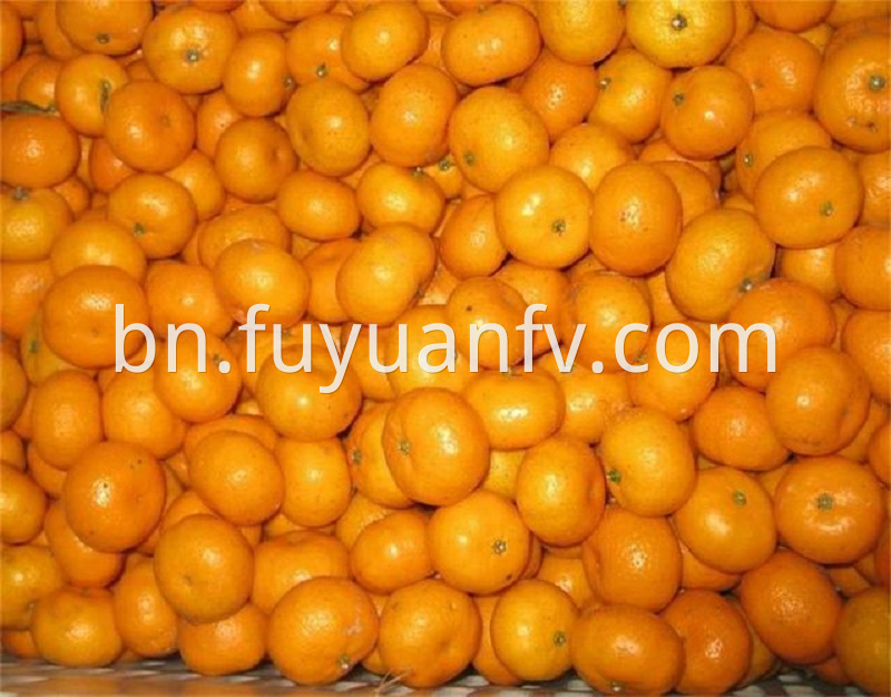 fresh baby mandarin